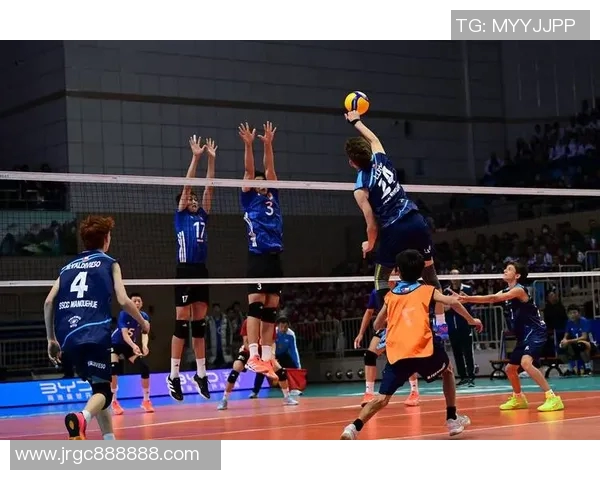 以U球为核心探讨其在现代体育竞技中的创新应用与发展趋势